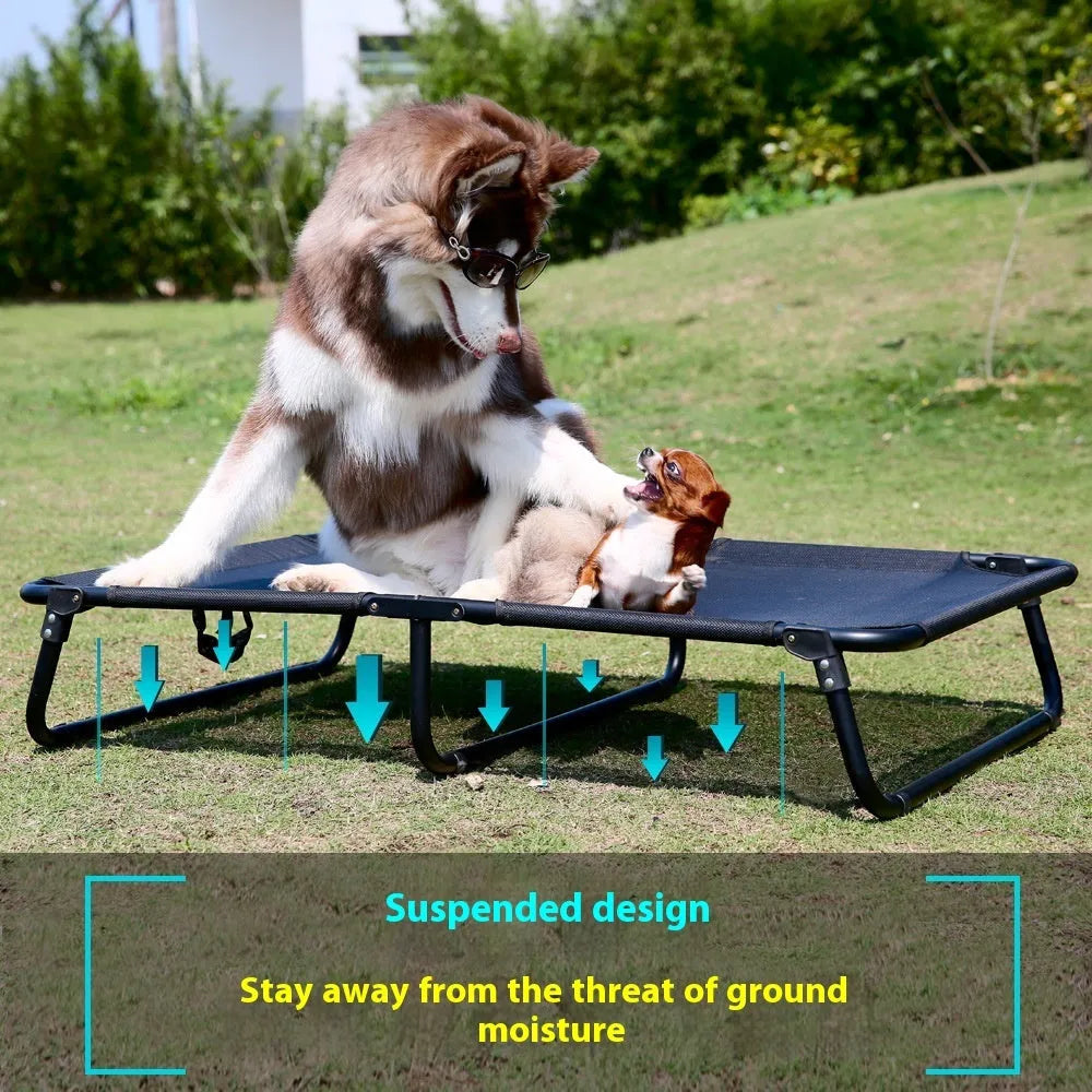 Folding dog camp bed with iron frame, mesh layer, and mattress in multiple sizes
