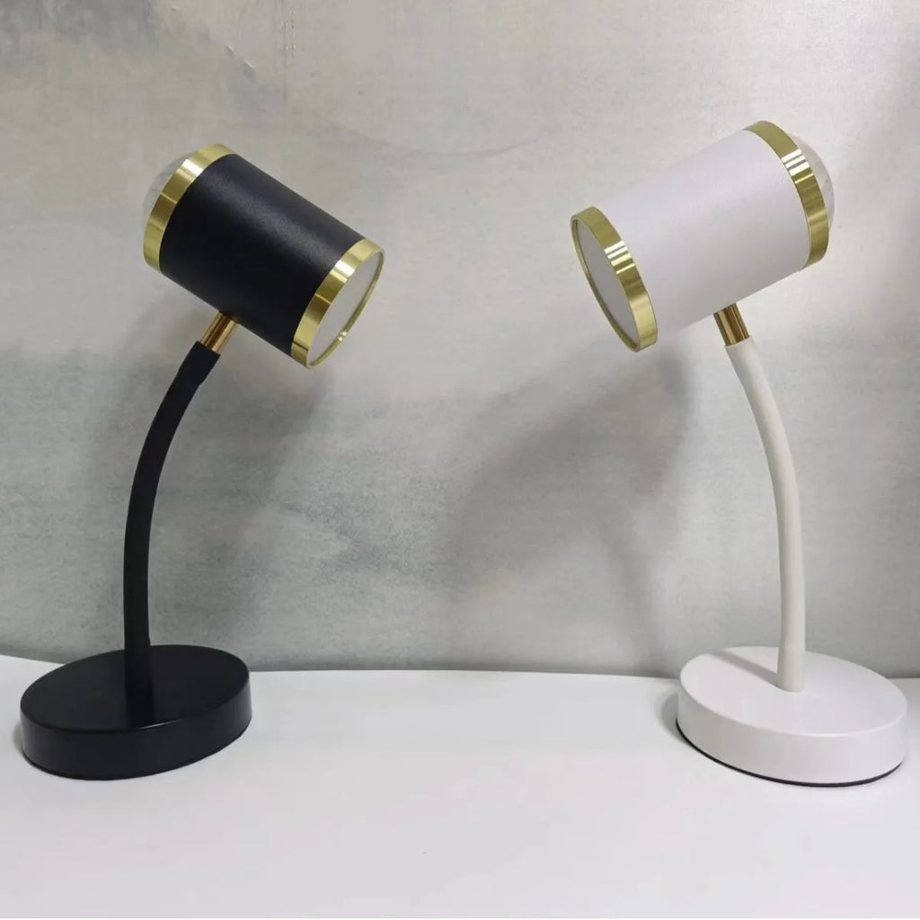 Black double-headed photography streaming lamp with metal construction and wire switch