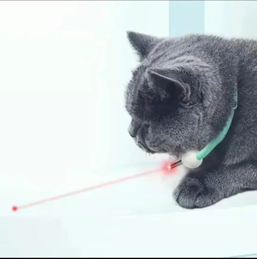 Automatic cat teaser laser toy with PC TPC construction in laser collar colour
