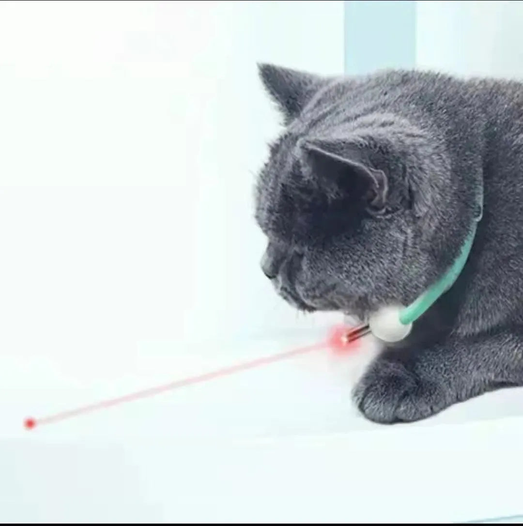 Automatic cat teaser laser toy with PC TPC construction in laser collar colour