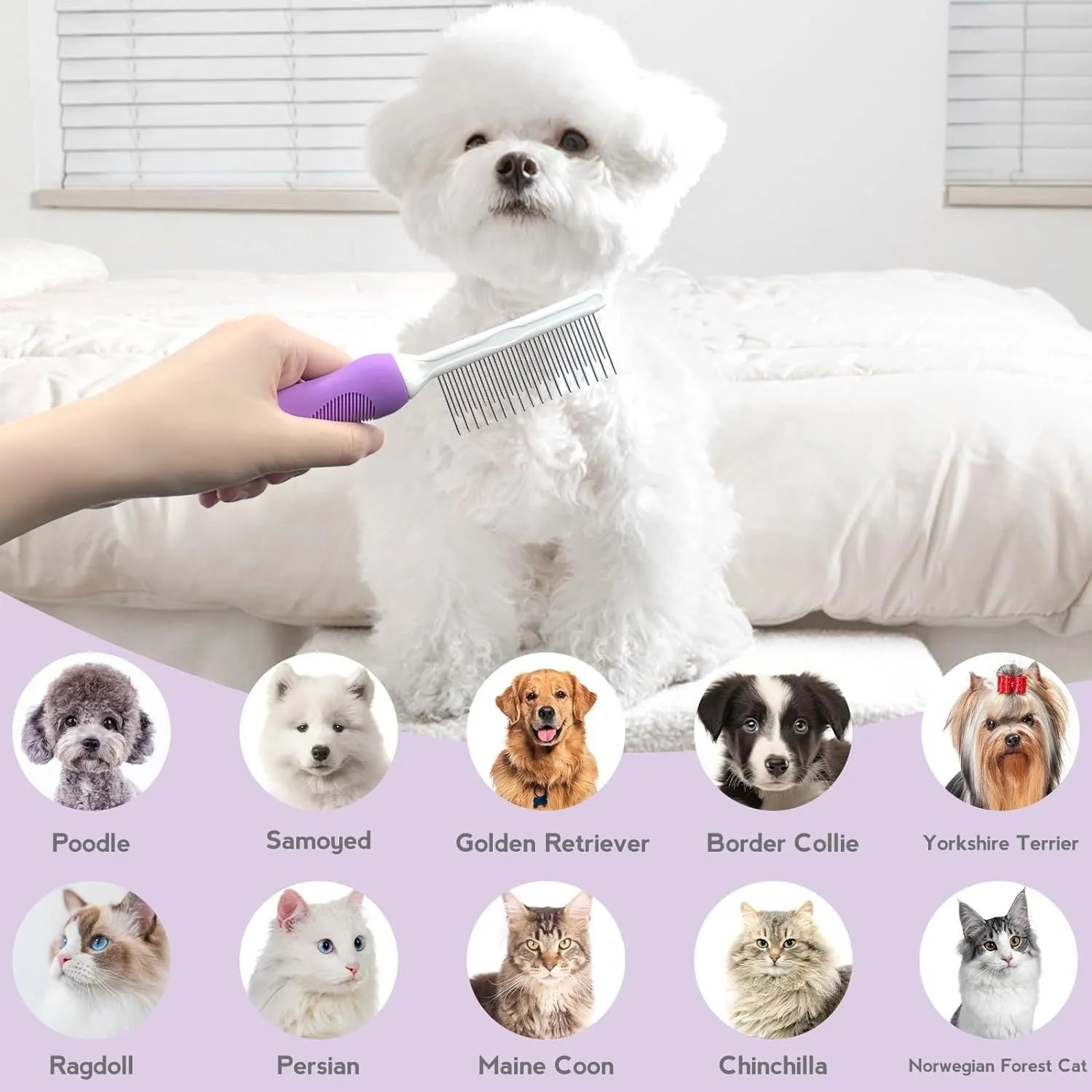 Purple pet detangling comb with stainless steel teeth and ergonomic handle on white background.