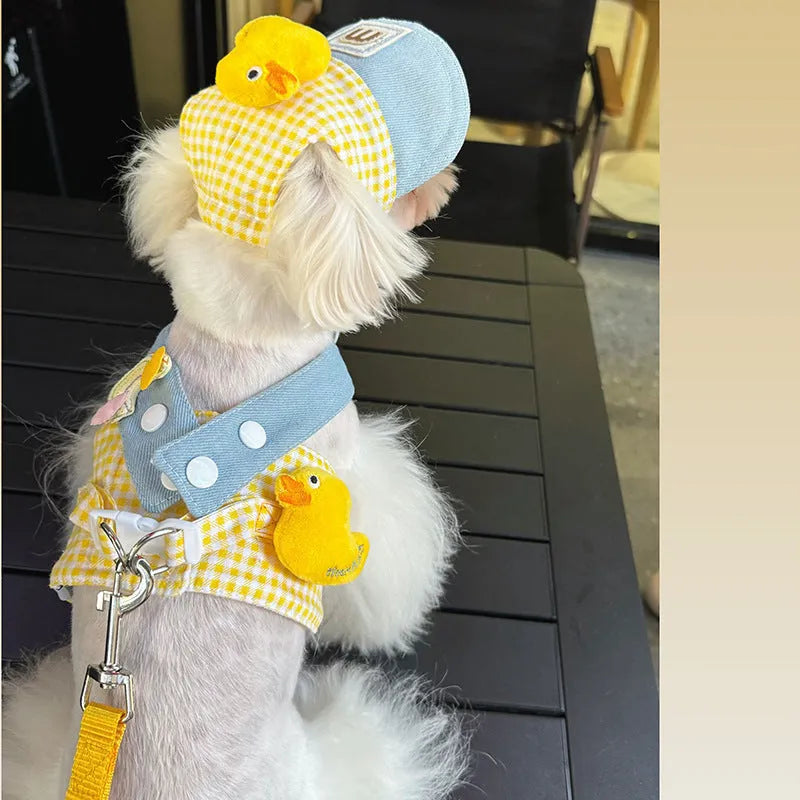 Three-piece pet set showing dog harness with leash, wire rope pulling toy and cat wearing matching clothes with hat