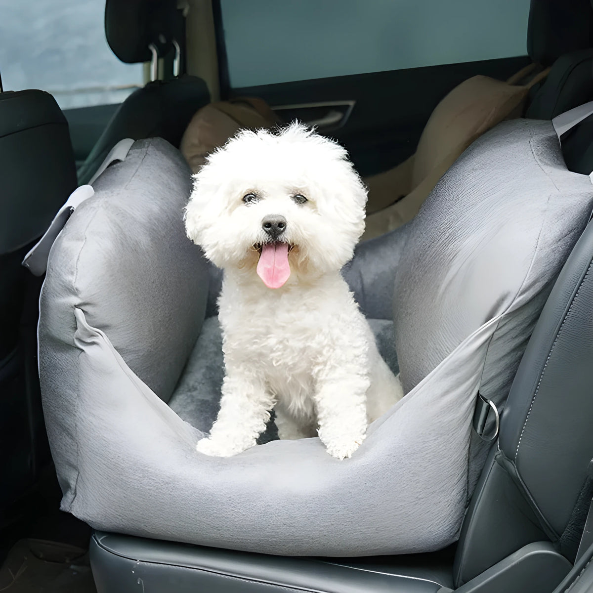 Removable washable cloth pet travel mat for small dogs and cats under 10KG with adjustable snap buckle