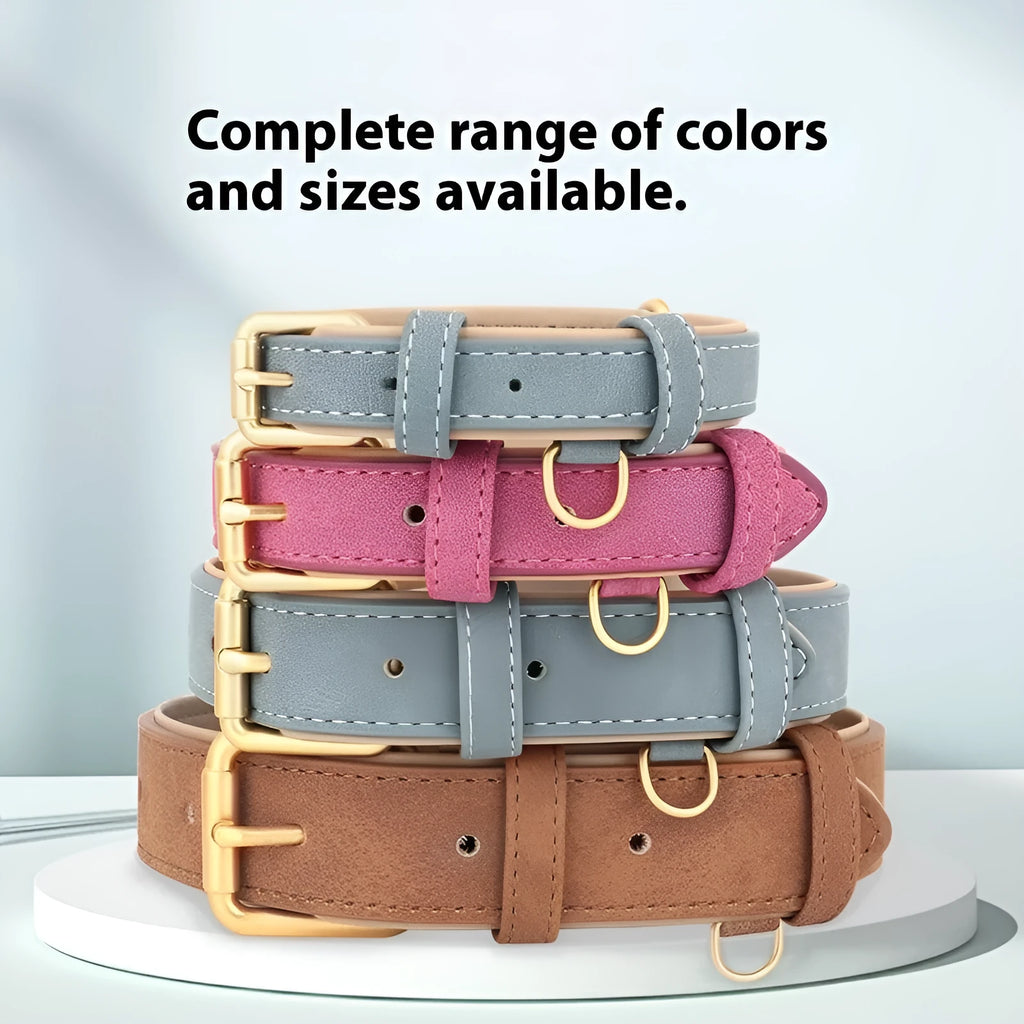 A blue double-layer leather dog collar with a matching mohair traction rope on a grey background.