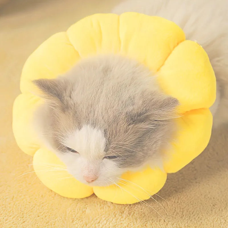 Cute sunflower shaped pet recovery collar for cats and small dogs, soft cotton, adjustable size
