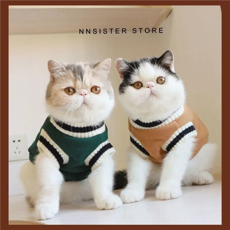British Shorthair style cat winter clothes in blue duck colour showing gradual layer college design