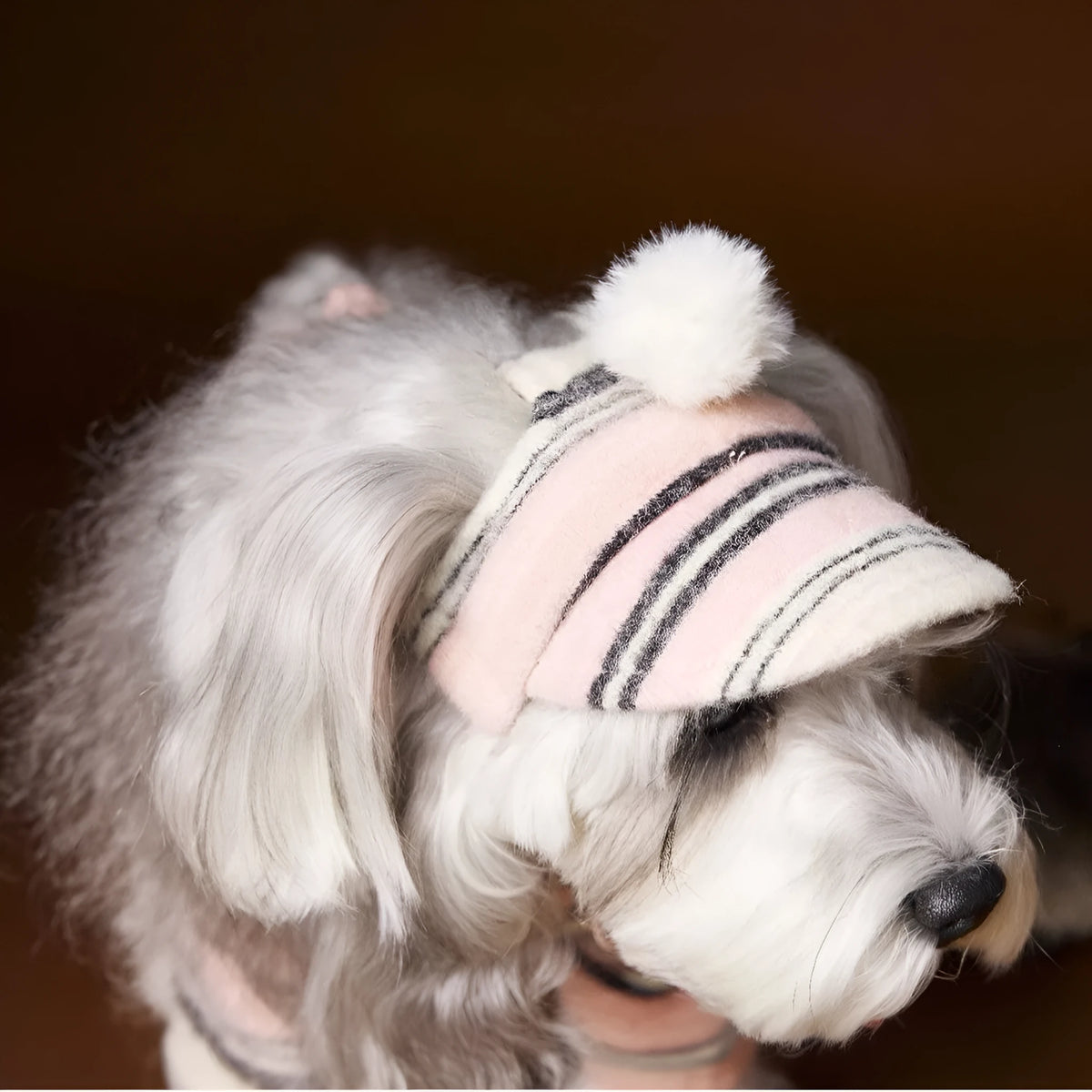 Striped acrylic dog hat with fur ball detail in pink or coffee, shown in small medium or large size
