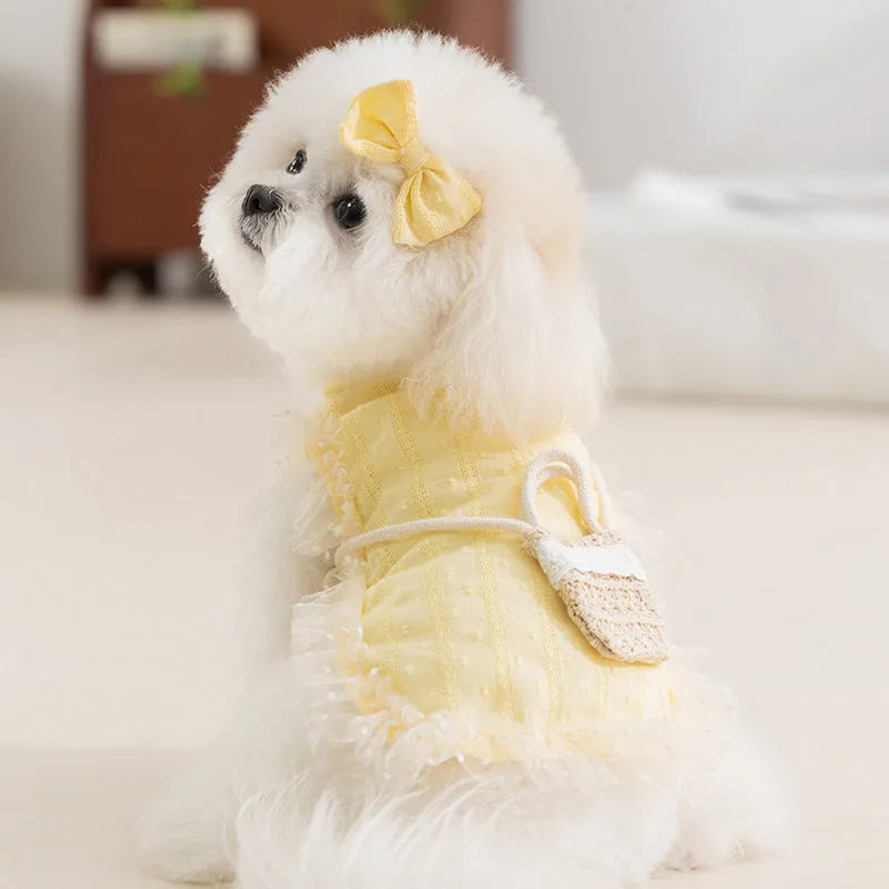 Small dog wearing blue country outfit with matching bow and small woven crossbody bag