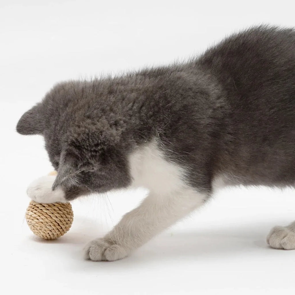 Two cat toys: a rattan ball and a faux feather ball with bell for interactive feline play