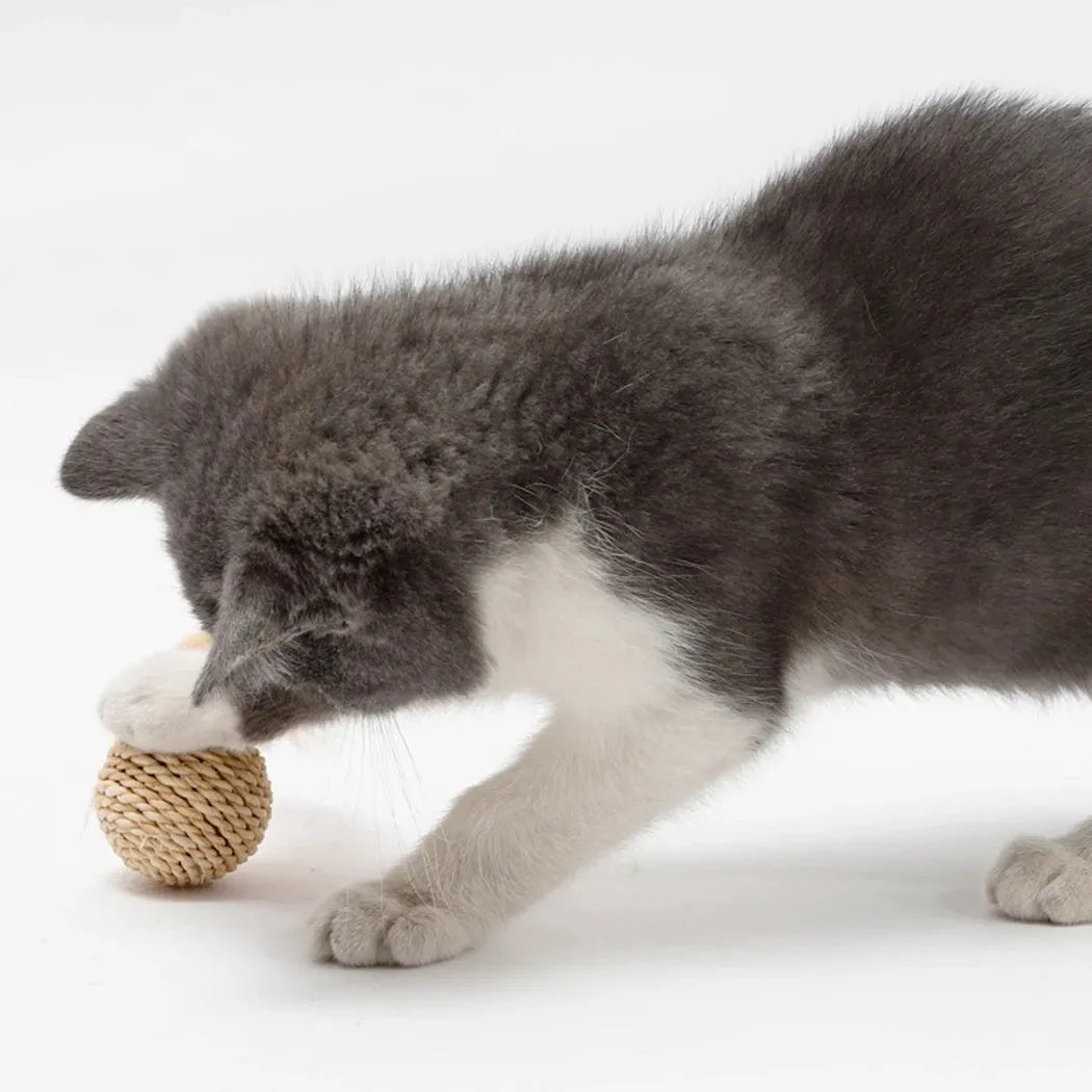 Two cat toys: a rattan ball and a faux feather ball with bell for interactive feline play