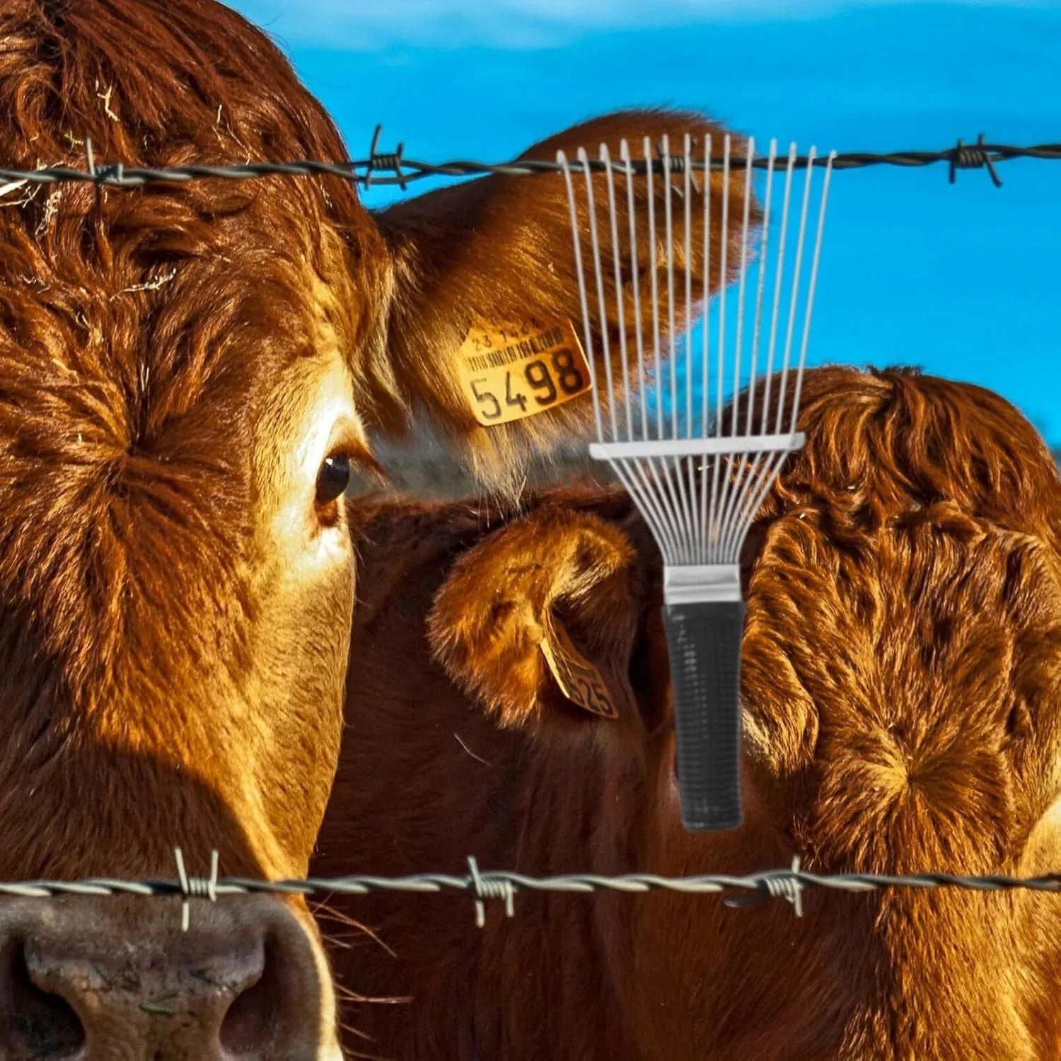 Stainless steel dematting brush rake for pet and livestock grooming