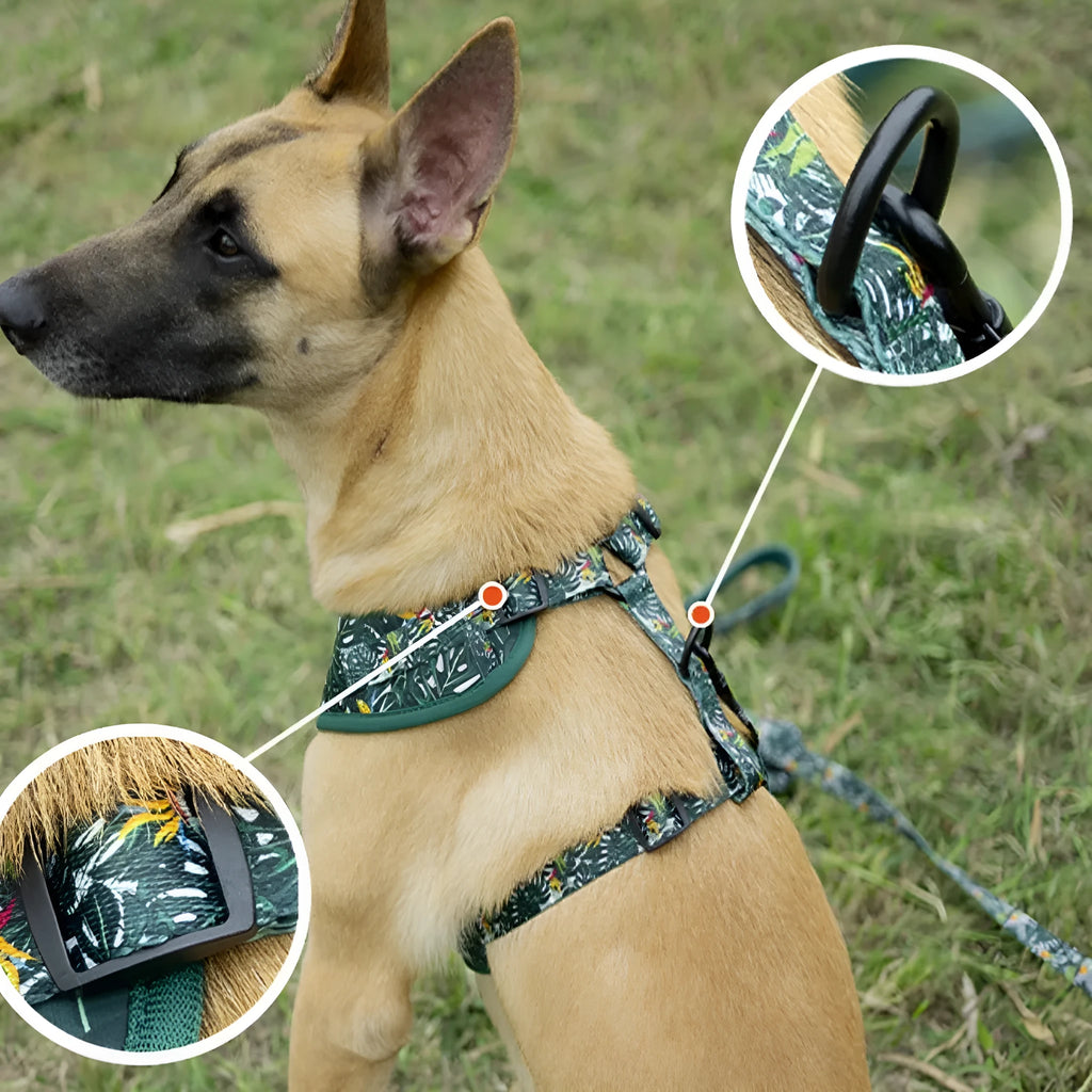 Adjustable cloth dog vest harness with haulage rope, collar, waste bag, bow tie, and scarf accessories
