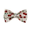 Red cherry print cloth dog collar with light gold release buckle, part of a five-piece pet accessory set.
