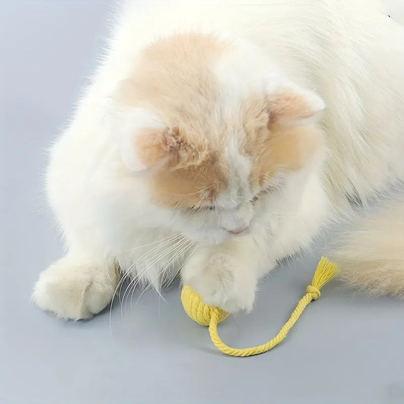 Colourful cat toy ball with attached rope and internal bell, shown in green, pink, purple, and yellow variants.