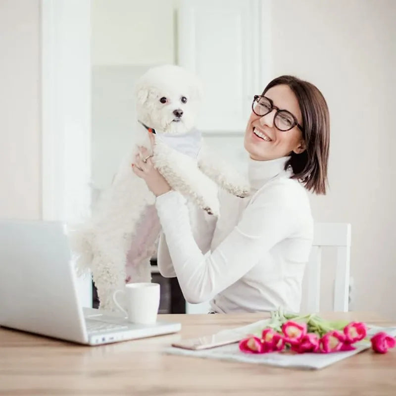Blank white polyester dog scarf for custom thermal transfer printing in four sizes.