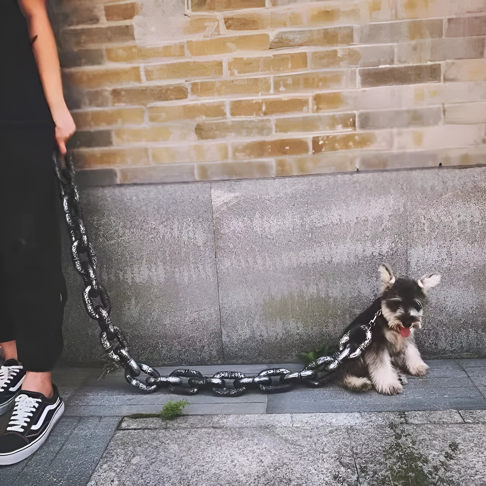 Simulation rough rope design dog lead in bronze colour with plastic clasp for walking and comedy videos