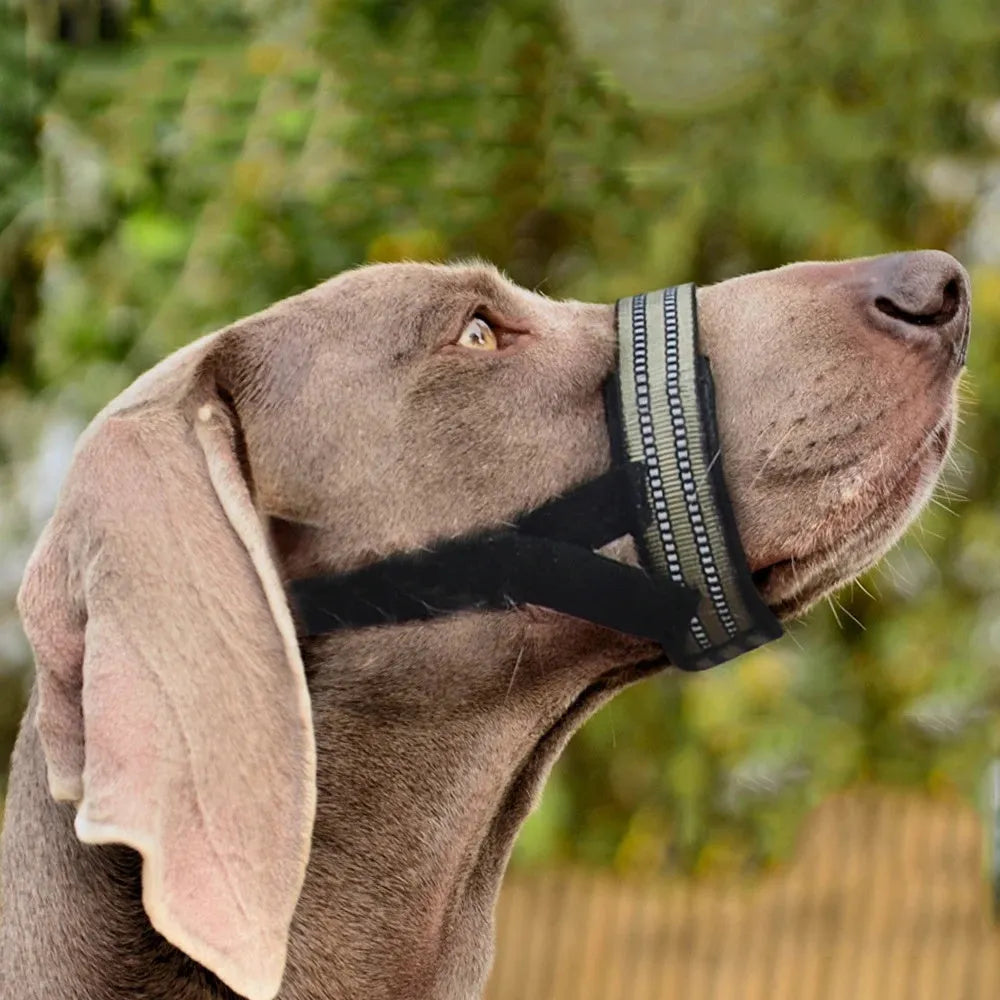 Adjustable black mesh dog muzzle with reflective strips and padded nose guard on a dog