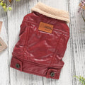 Red fleece-lined PU leather dog coat on pet showing two-legged design and British style