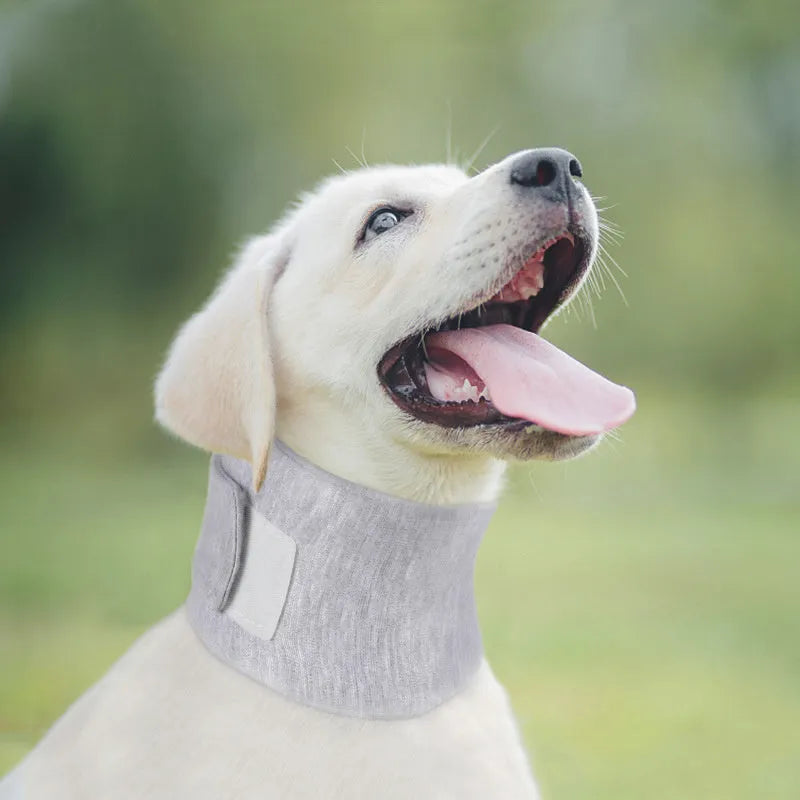 Soft grey cat cone collar neck brace for post-surgery recovery, shown next to a size chart.