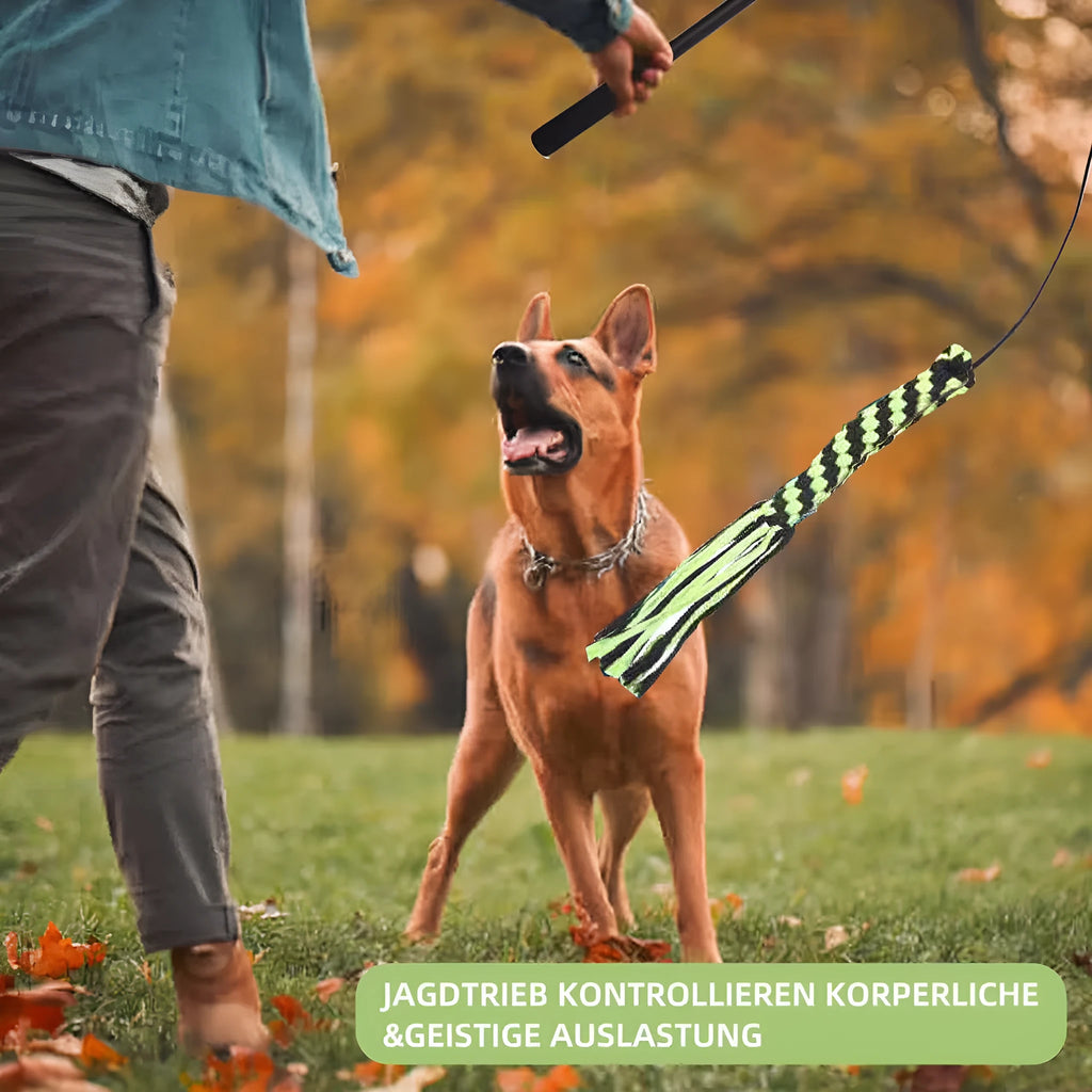 Black telescopic aluminium alloy dog teasing rod extended to 102cm with two bite ropes and one ball