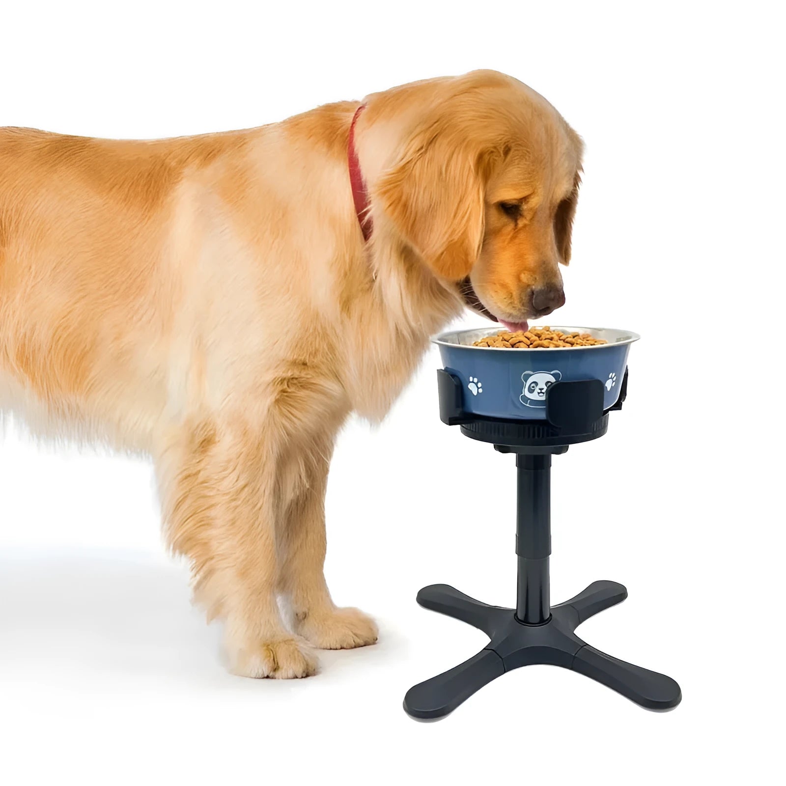 Adjustable elevated dog food bowls stand with anti-slip base for medium and large pets