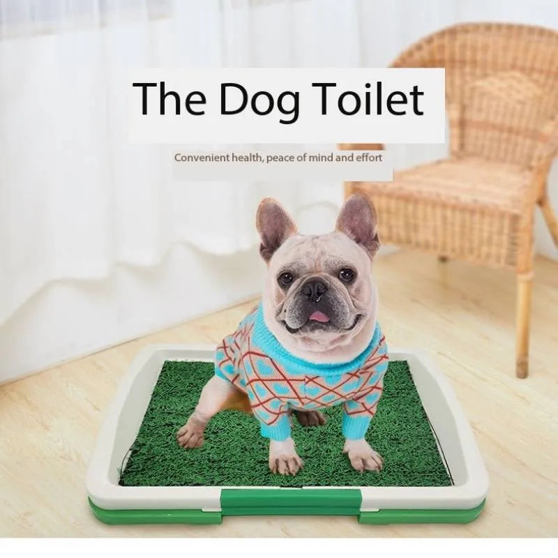 Green turf dog grass patch indoor toilet trainer with three-layer construction for puppy potty training