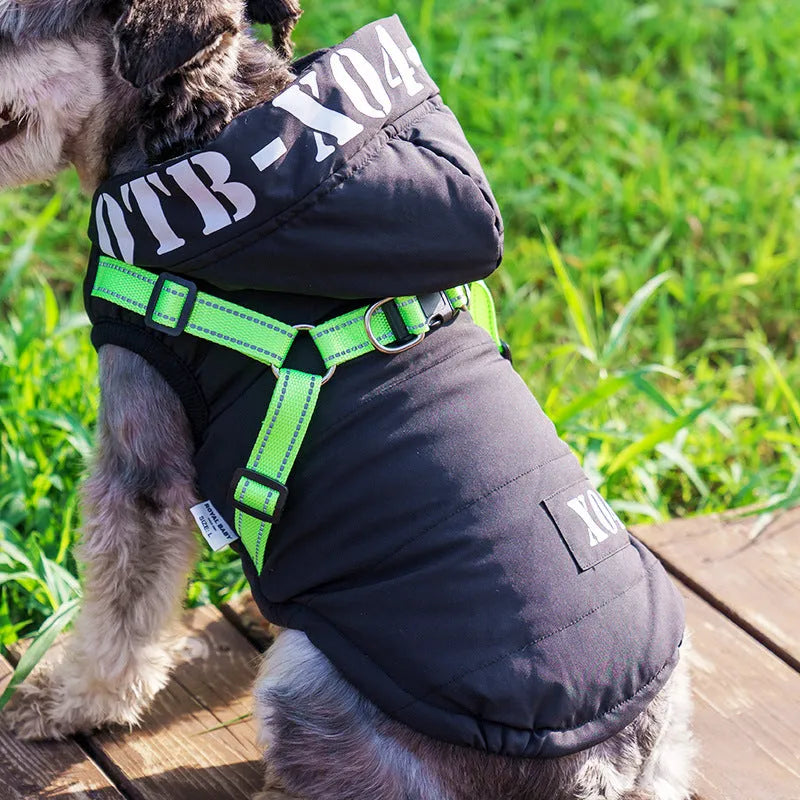 Red hooded dog winter jacket with fleece lining on a small dog outdoors.