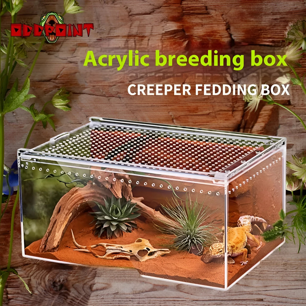Clear acrylic reptile feeding box showing dimensions for small, medium, large, extra large, and arboreal sizes.