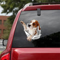 Smiling Rottweiler car body sticker reflective waterproof PVC film outdoor vehicle decal