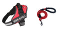 Fashion Simple Pet Leash Chest Strap Set in Black with adjustable sizing from XS to XXL for dogs