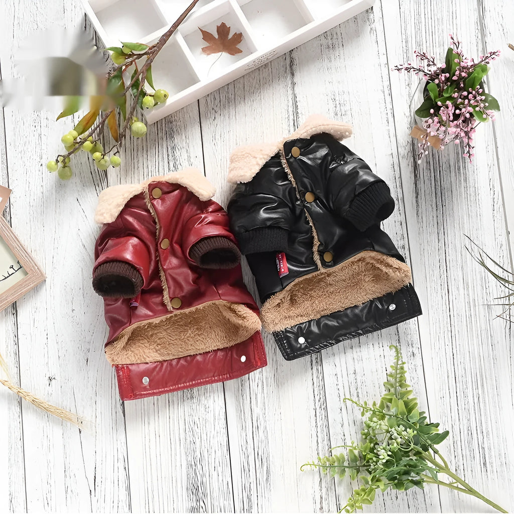 Red fleece-lined PU leather dog coat on pet showing two-legged design and British style