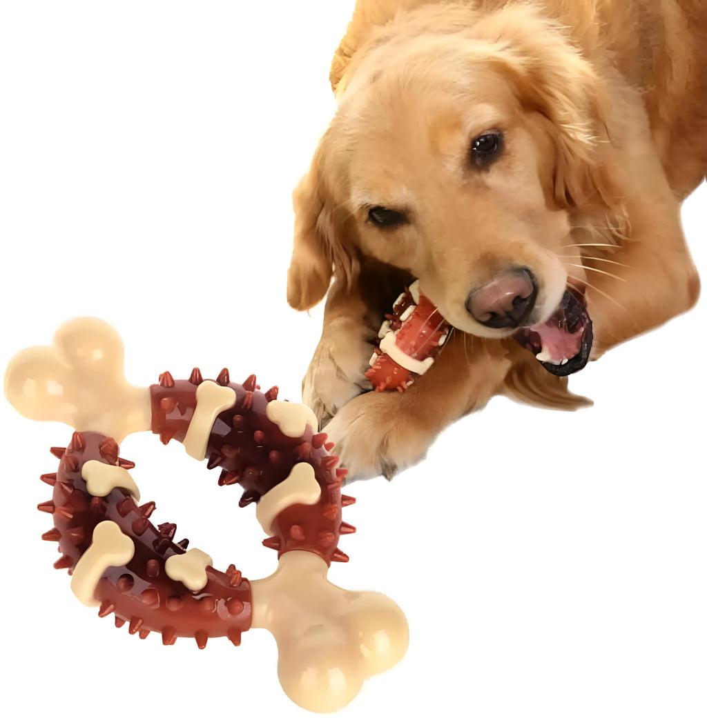 Bone-shaped natural rubber pet molar chew toy shown in two sizes