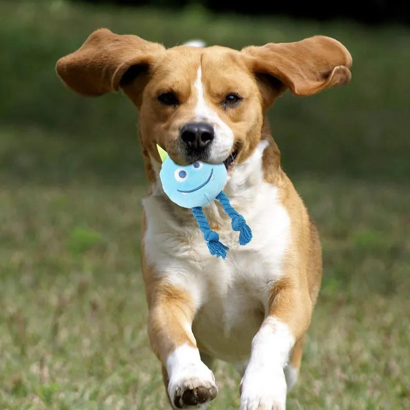 Blue and yellow cartoon dog squeaky toys with knot design for chewing
