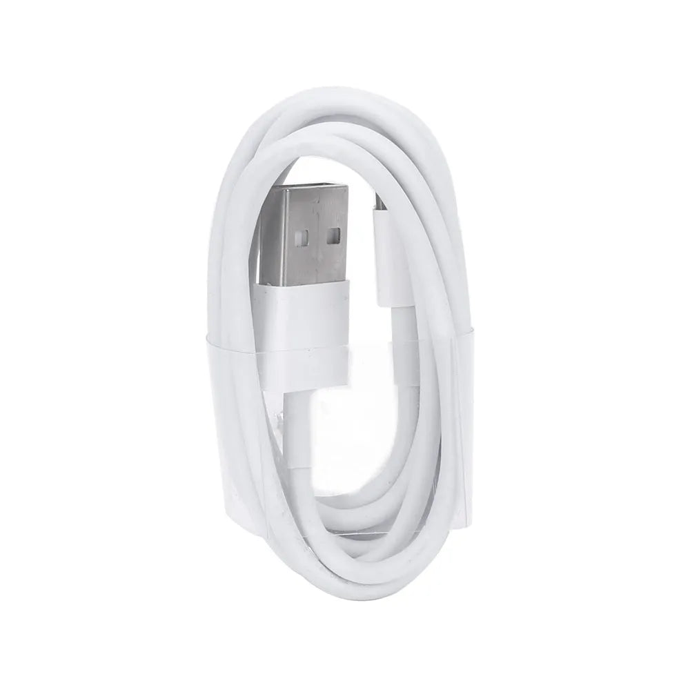 5V 2A USB travel charger and cable compatible with iPhone and iPad models.