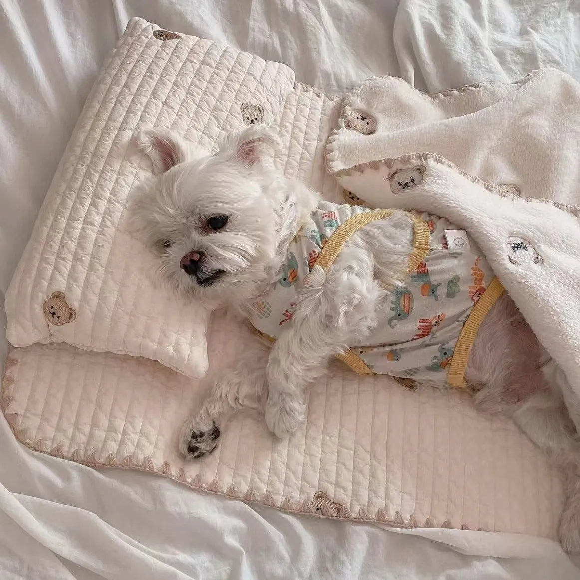 Simple bear design washable dog bed set with square mattress, quilt, and pillow in two size options.