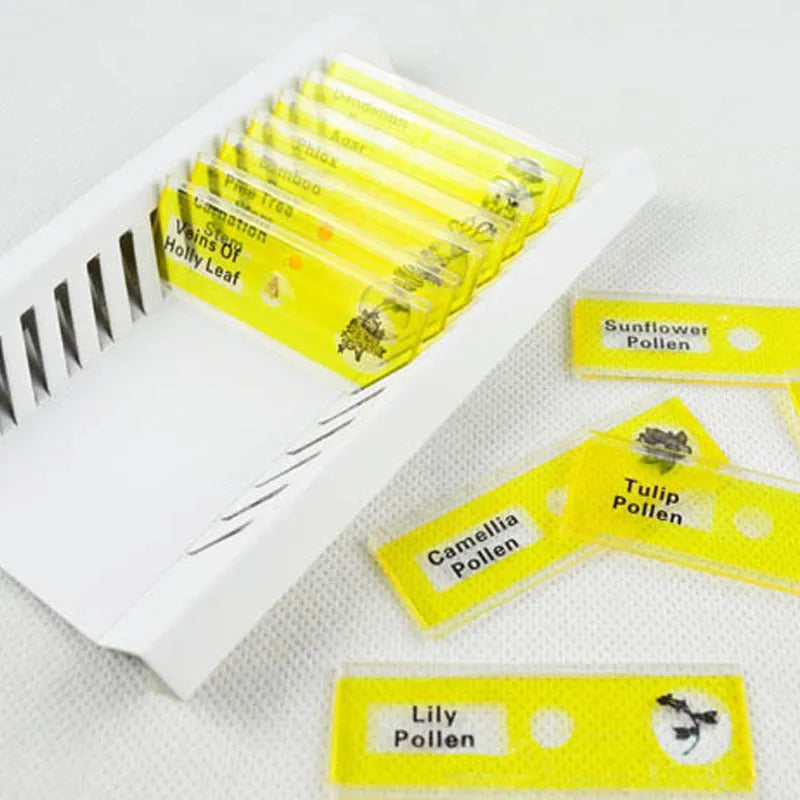 48-piece plastic microscope slide set for children with colour-coded plant, insect, and animal specimens