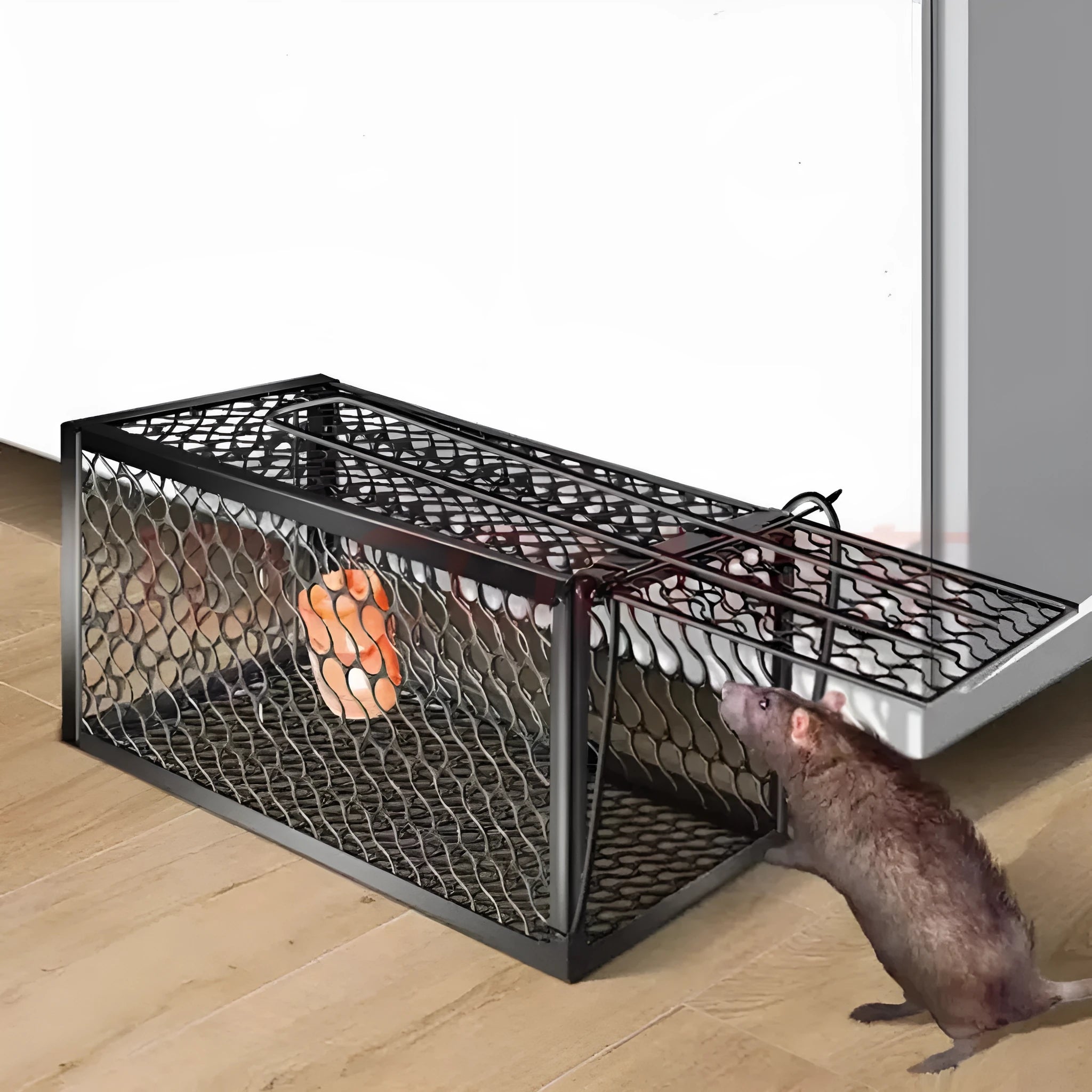 Automatic mouse trap cage shown in small, medium, and large sizes with metal and plastic construction options.