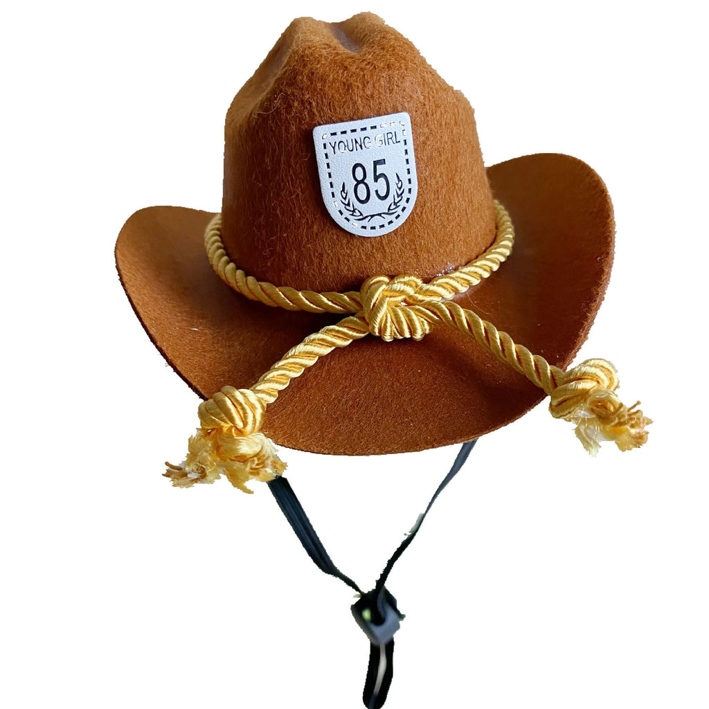 British-style brown cat cowboy hat with decorative trim on a feline model