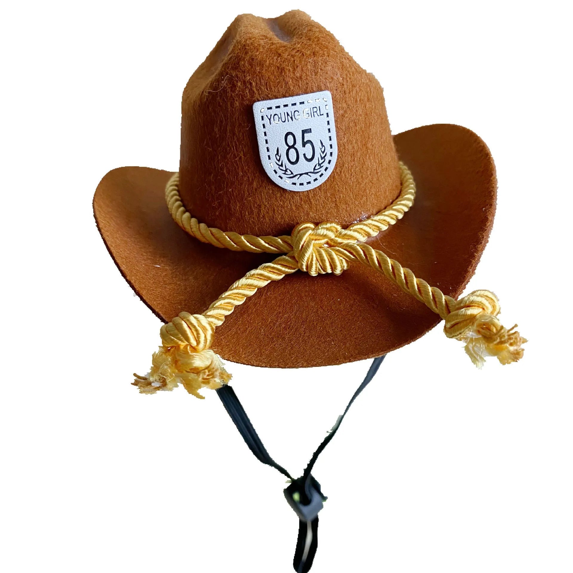 British-style brown cat cowboy hat with decorative trim on a feline model