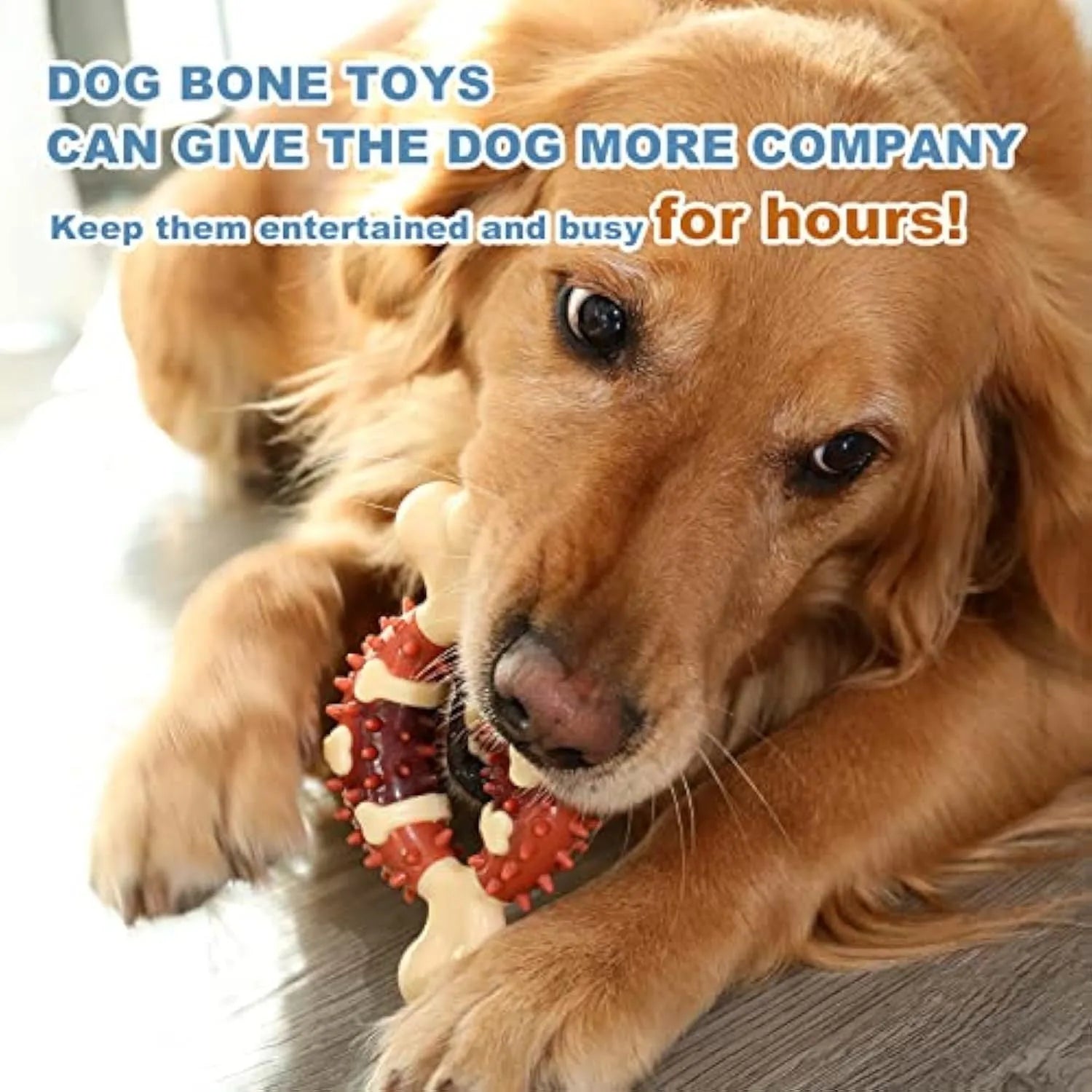 Bone-shaped natural rubber pet molar chew toy shown in two sizes
