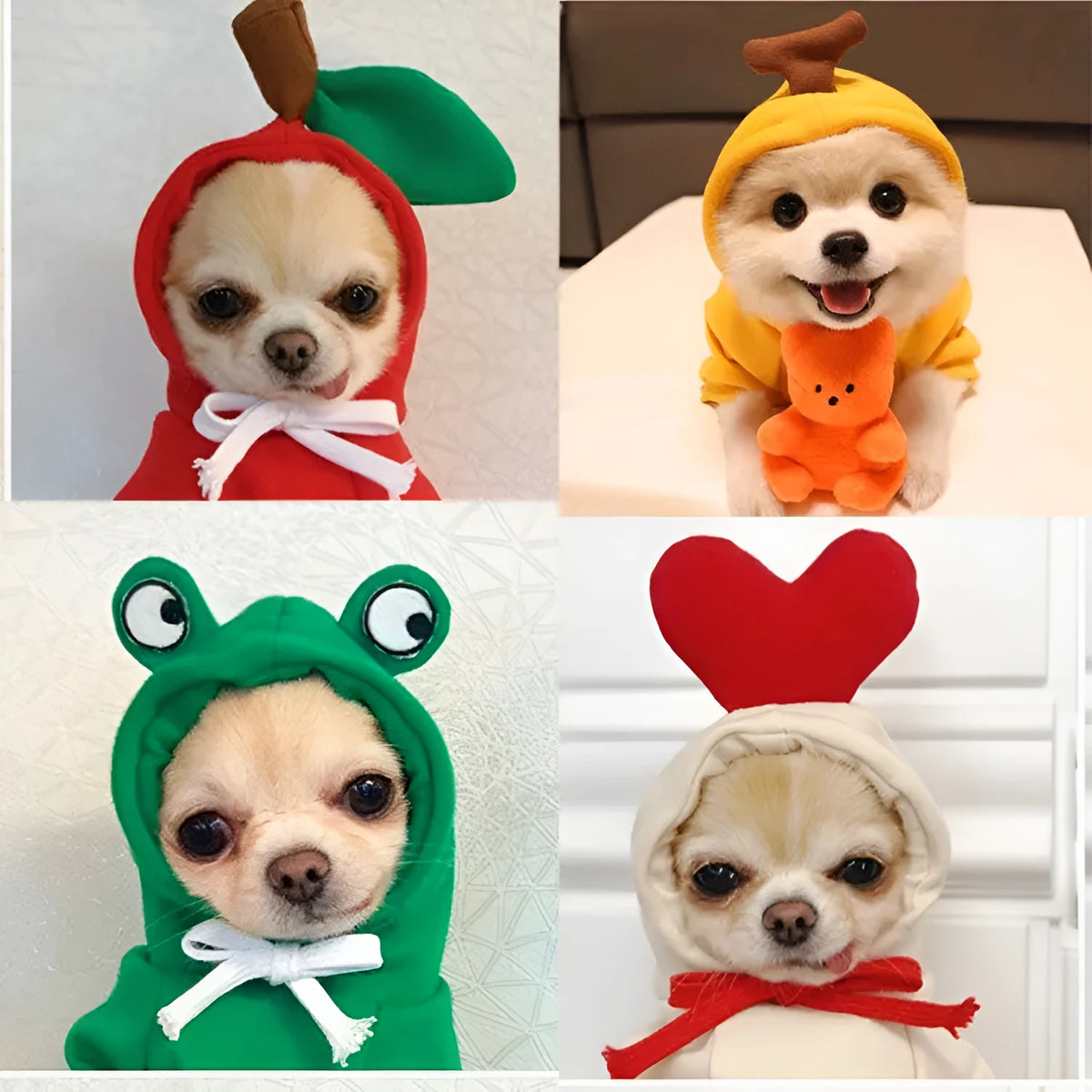 Fruit dog clothes two-legged hooded fleece outfit in green for autumn and winter