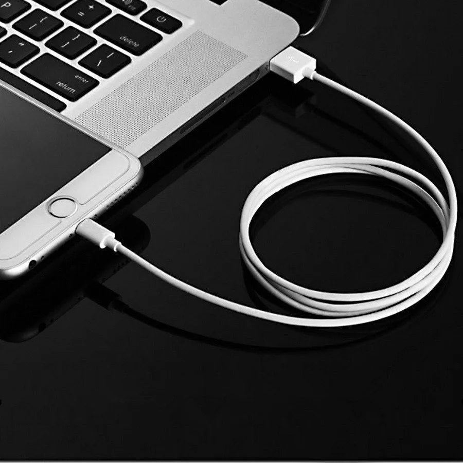 5V 2A USB travel charger and cable compatible with iPhone and iPad models.