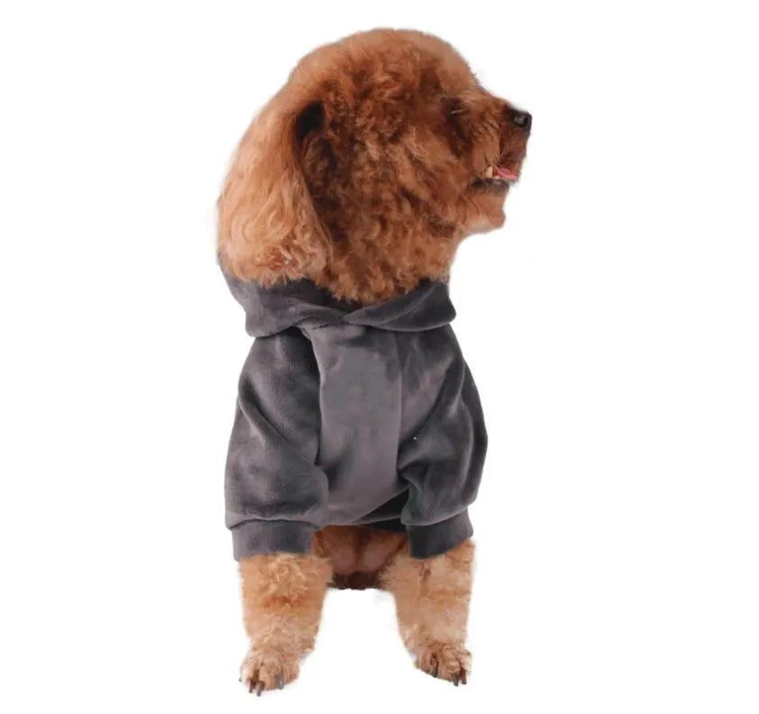 Small dog wearing a blue hot dog costume made from breathable cotton with elastic leg openings.