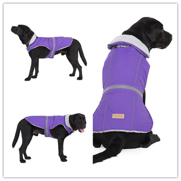 Reflective dog coat in pink or purple, polyester, sizes S to XXL for winter night walks