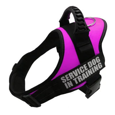 Personalised reflective breathable nylon dog harness in black with adjustable chest strap and handle
