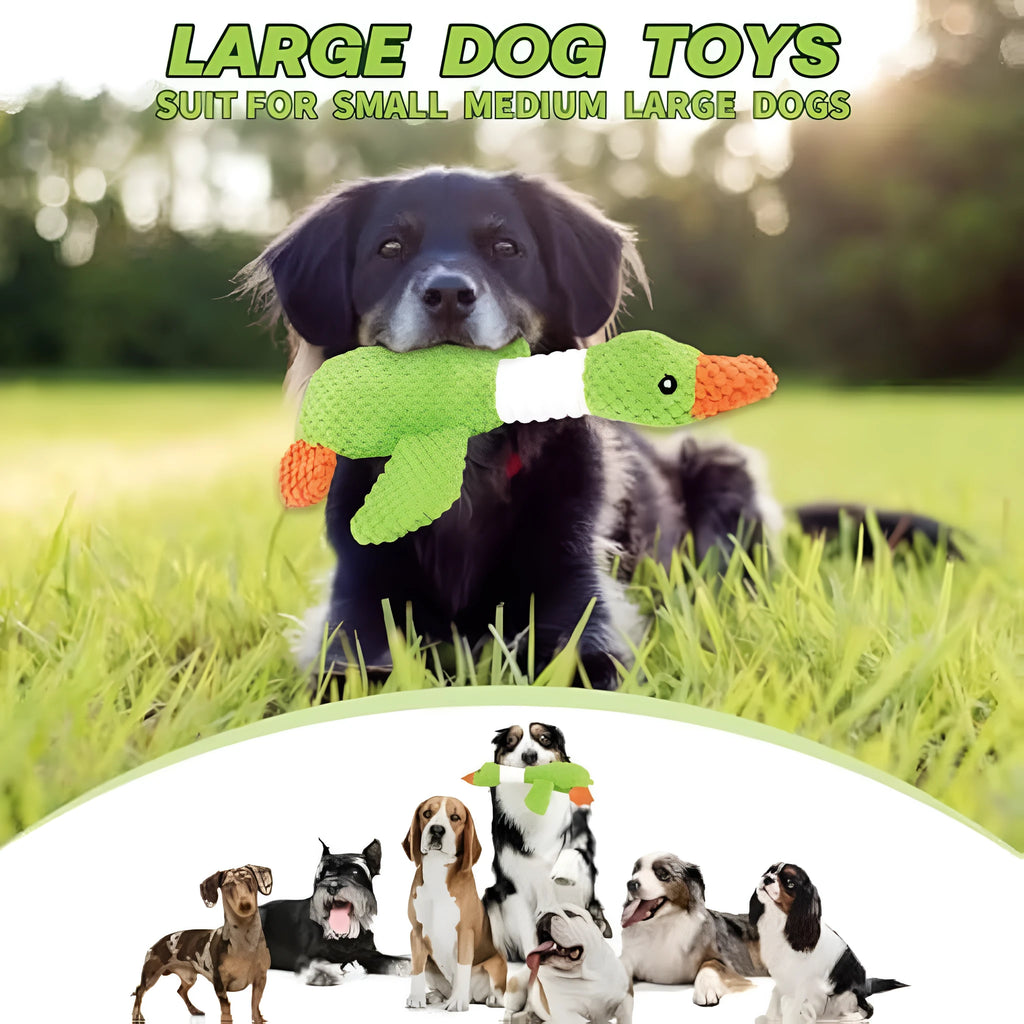Blue durable plush duck dog toy with squeakers on a white background.