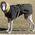 Red pet coat with polar fleece lining on a small dog for autumn winter walks