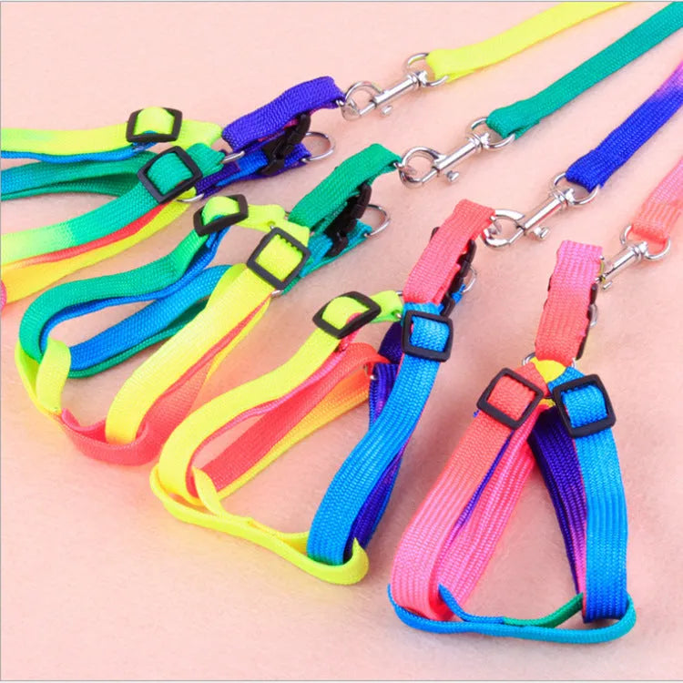 Colourful nylon chest-type dog leash with 120cm pull strap and 1.0cm width, sized for 25-40cm bust.