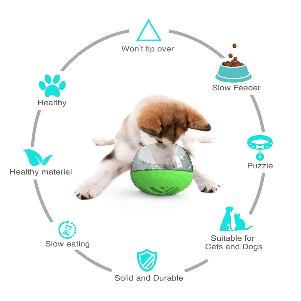 Plastic slow food bowl for pets, 19 x 19 x 14 cm, shown in blue, green, or yellow