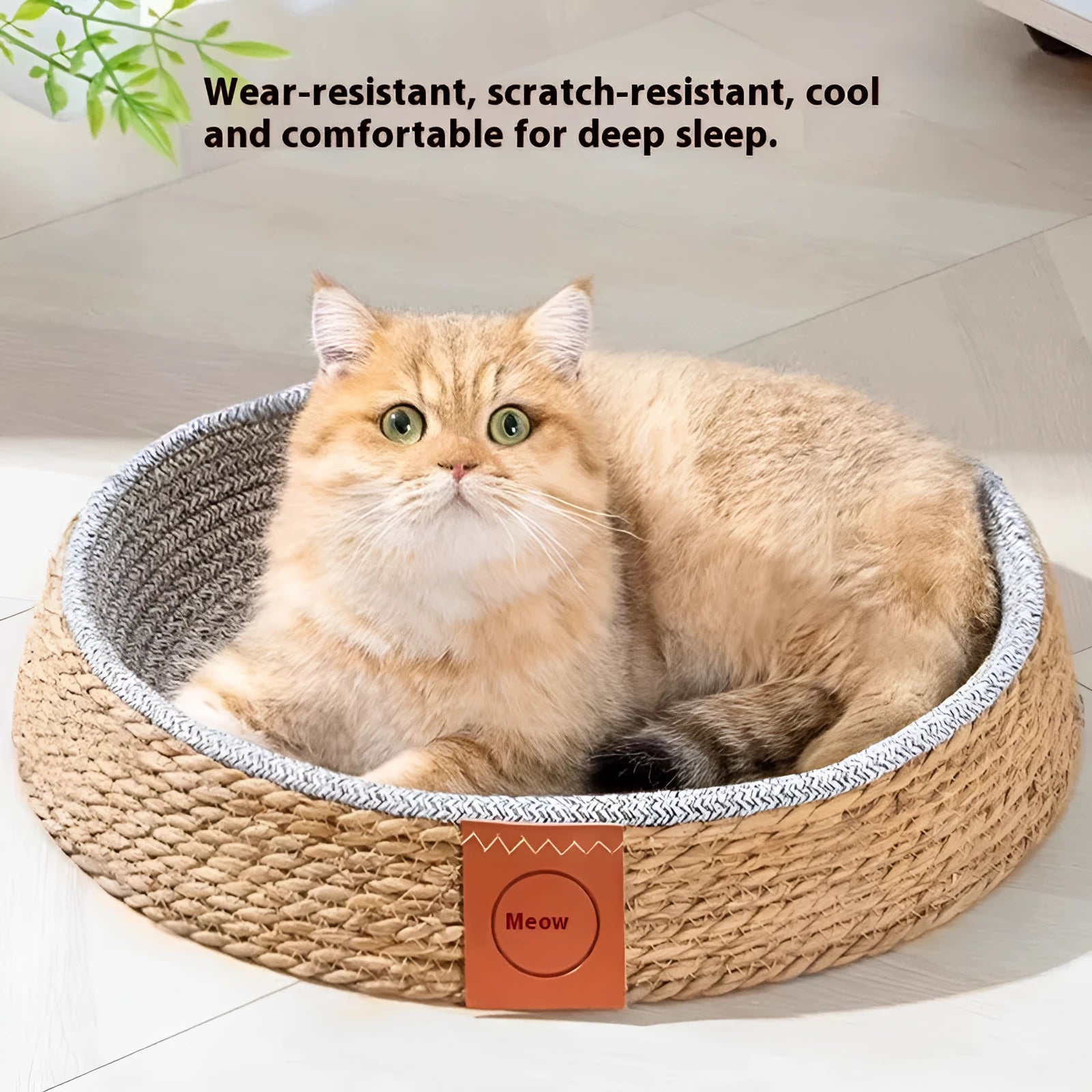 A natural rattan woven cat bed or nest, shown empty, suitable for small, medium, large, or extra-large cats.